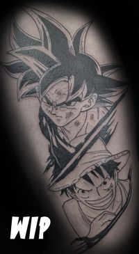 animesleeve